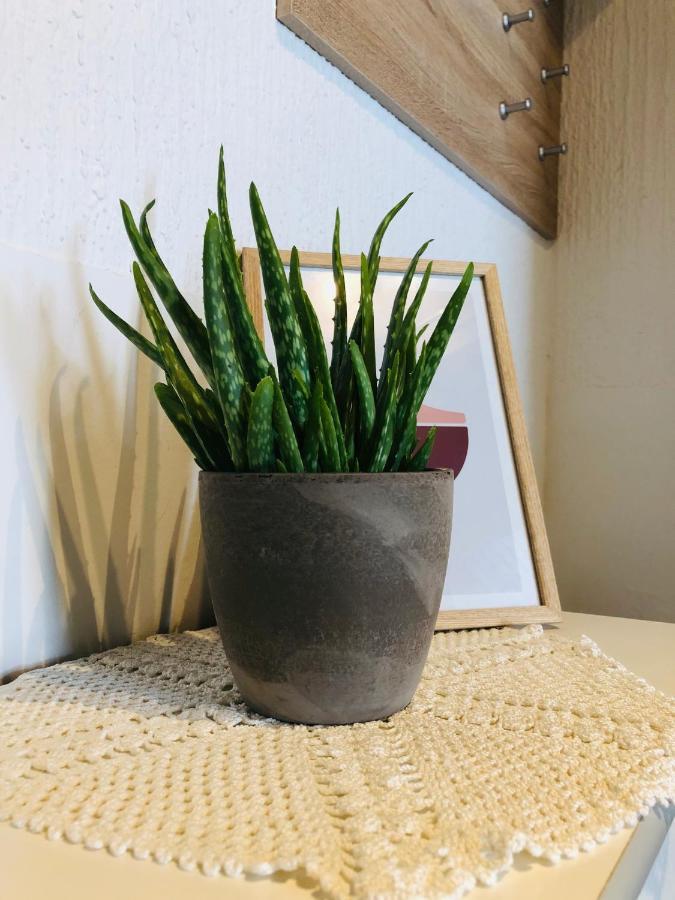 Apartma Domenika Ptuj Dış mekan fotoğraf
