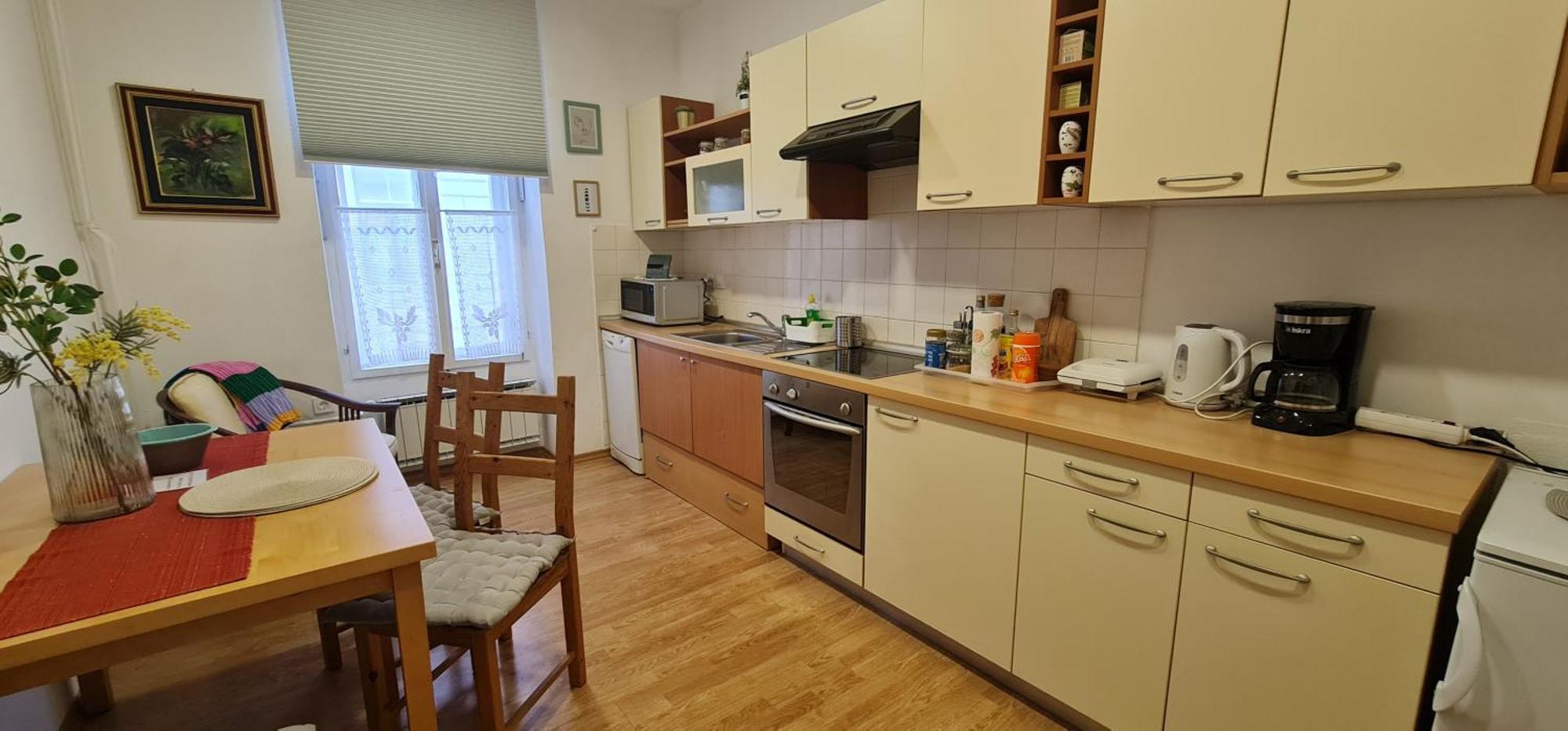 Apartma Domenika Ptuj Dış mekan fotoğraf
